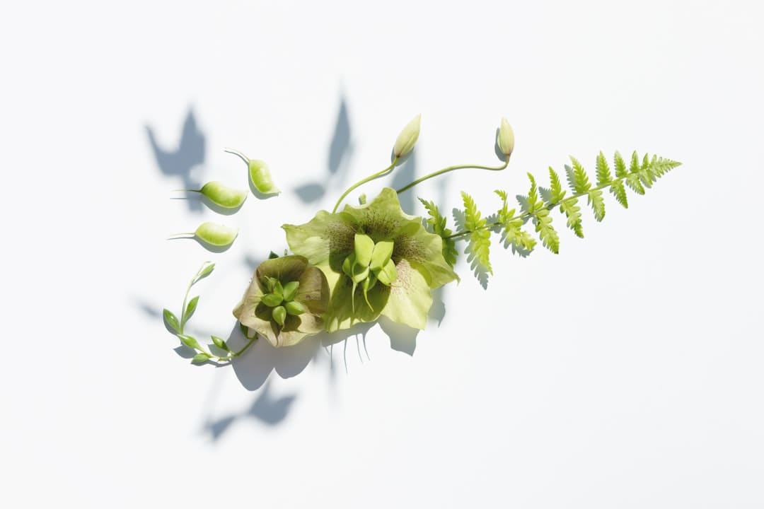 各种暴雷，光伏最好的环节也不可了吗？
